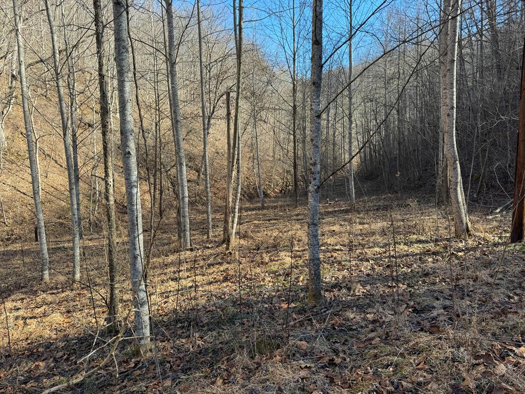 1438 Mill Creek Road  Wayland KY 41666 photo