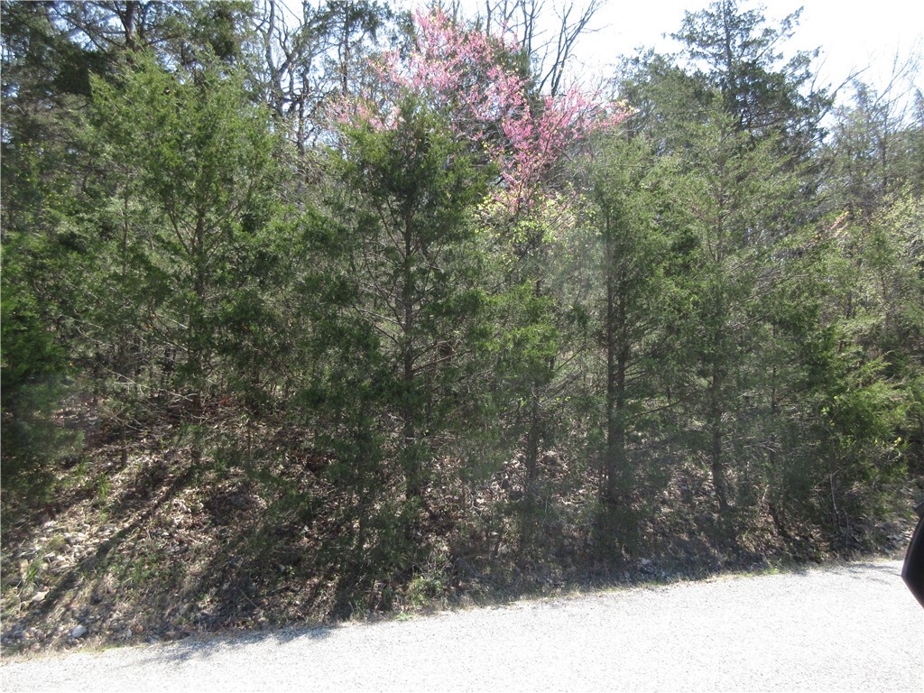 Property Photo:  Lot 6, Hillside Drive  AR 72631 