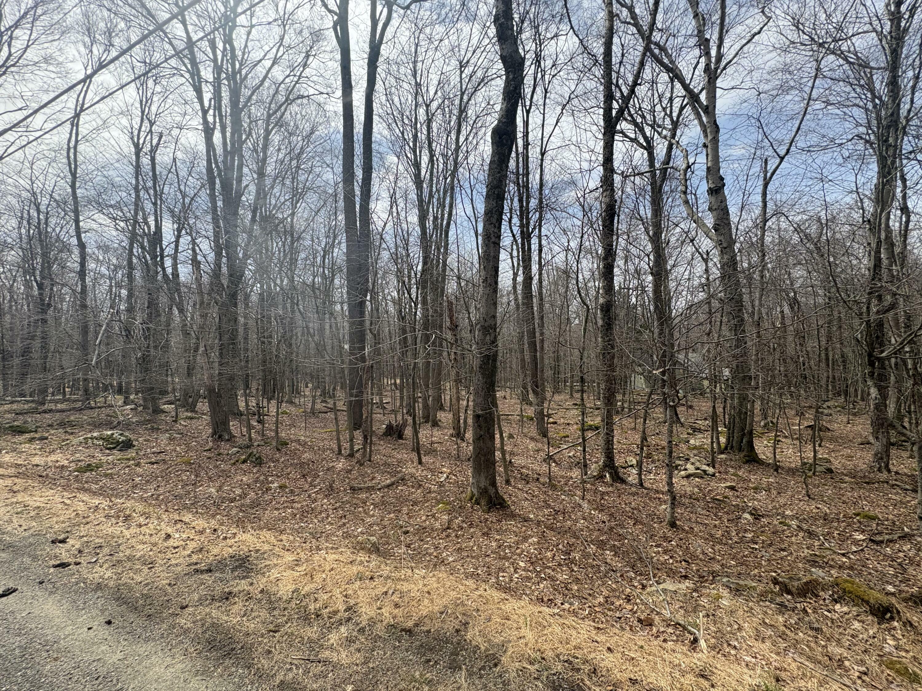 Property Photo: 34 Tuscarora Trail PA 18424