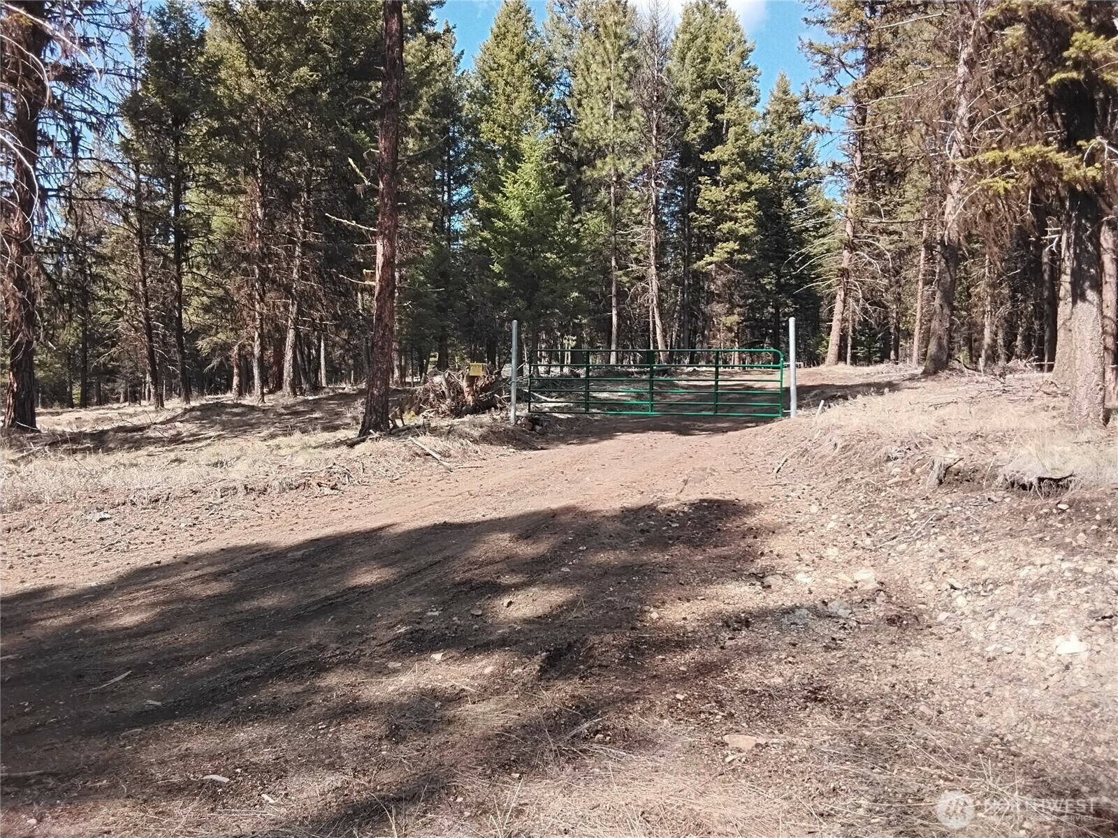 45  Spring Meadow Lane  Oroville WA 98844 photo