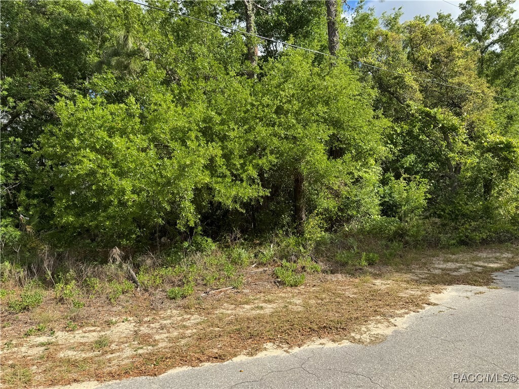 Property Photo: 6605 W Gannet Place FL 34429