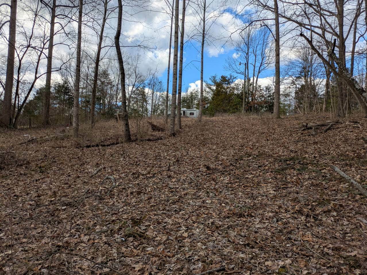 Property Photo: 637 Macon Kessinger Road KY 42765