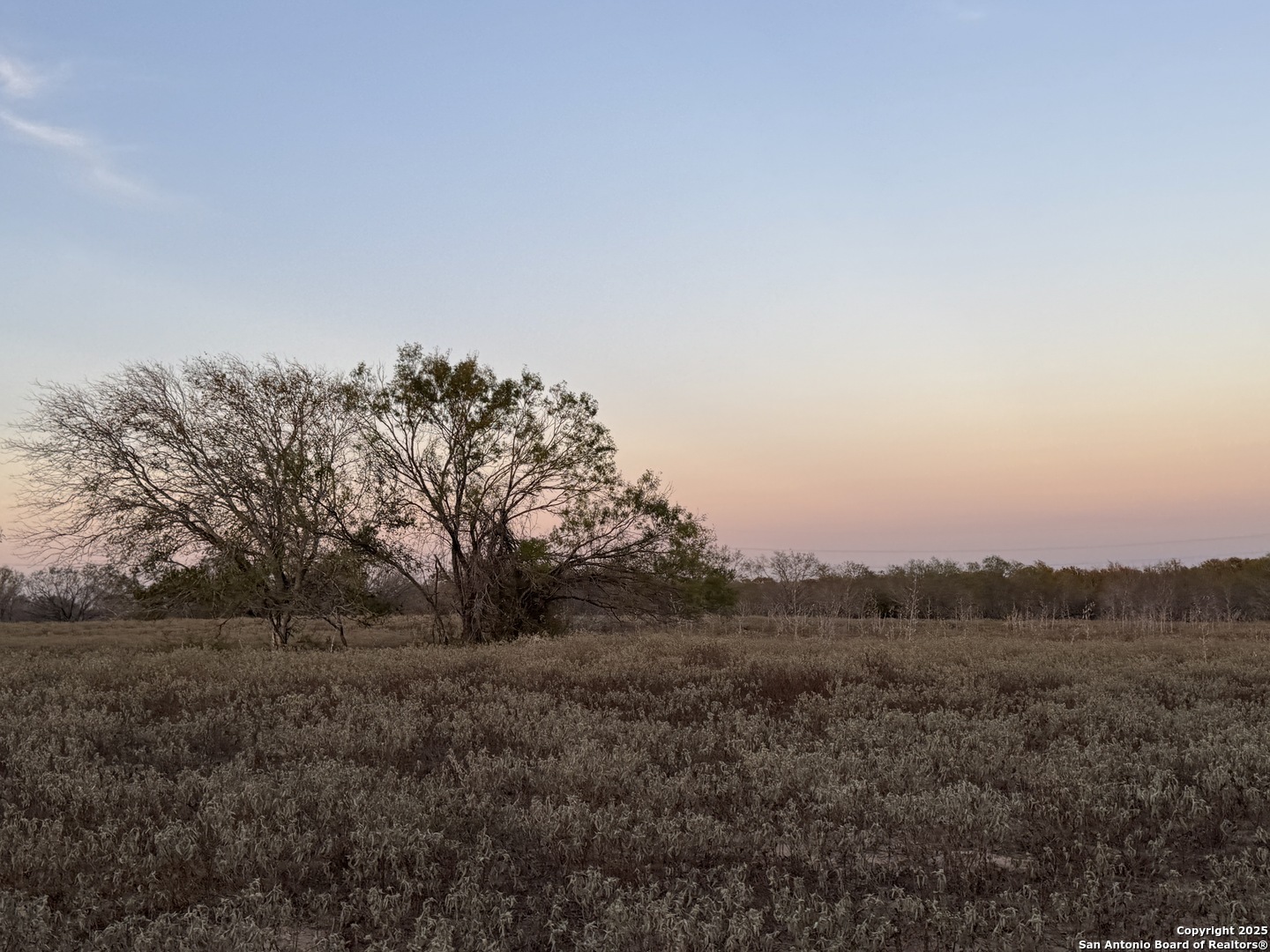 Property Photo:  Tbd Fm 1681  TX 78160 