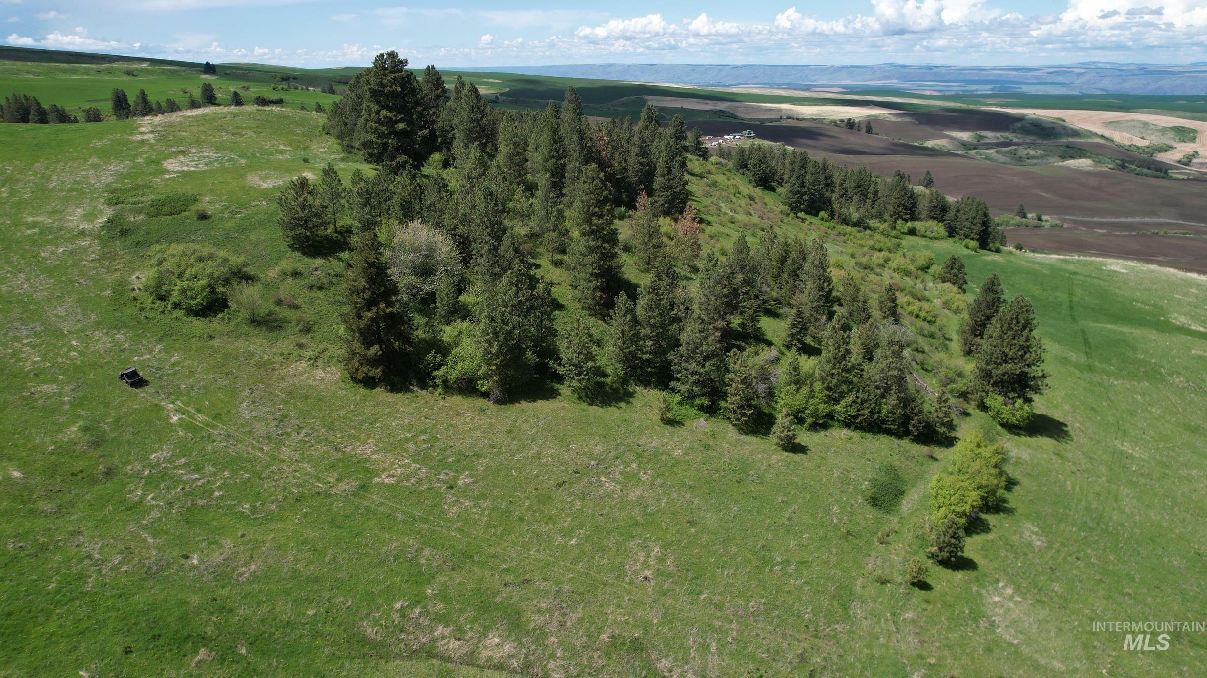 Property Photo: Tbd Slickpoo Road ID 83524