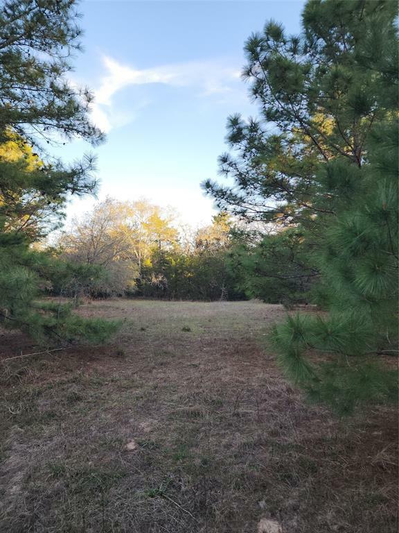 Property Photo: Tbd Fm 3283 TX 77964