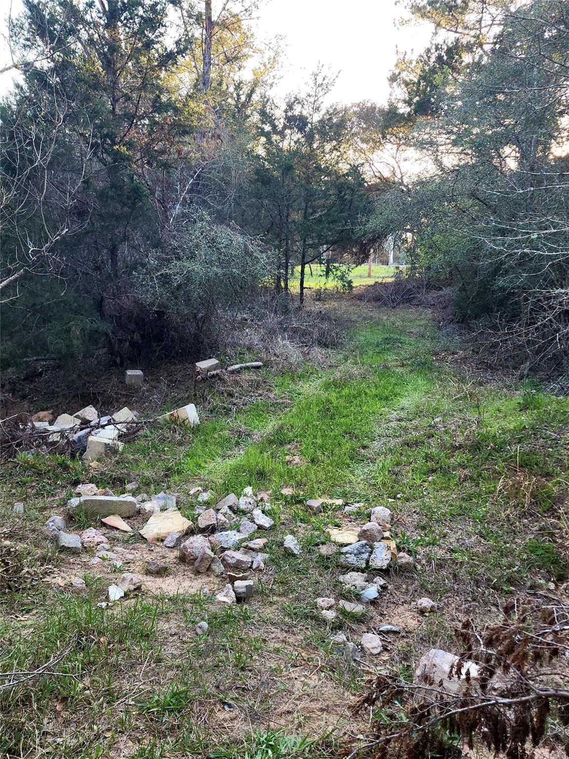 Property Photo:  Tbd Fm 3283  TX 77964 