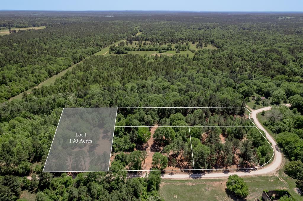 Property Photo: 6077 Tract 1 Cr 4200 TX 75856