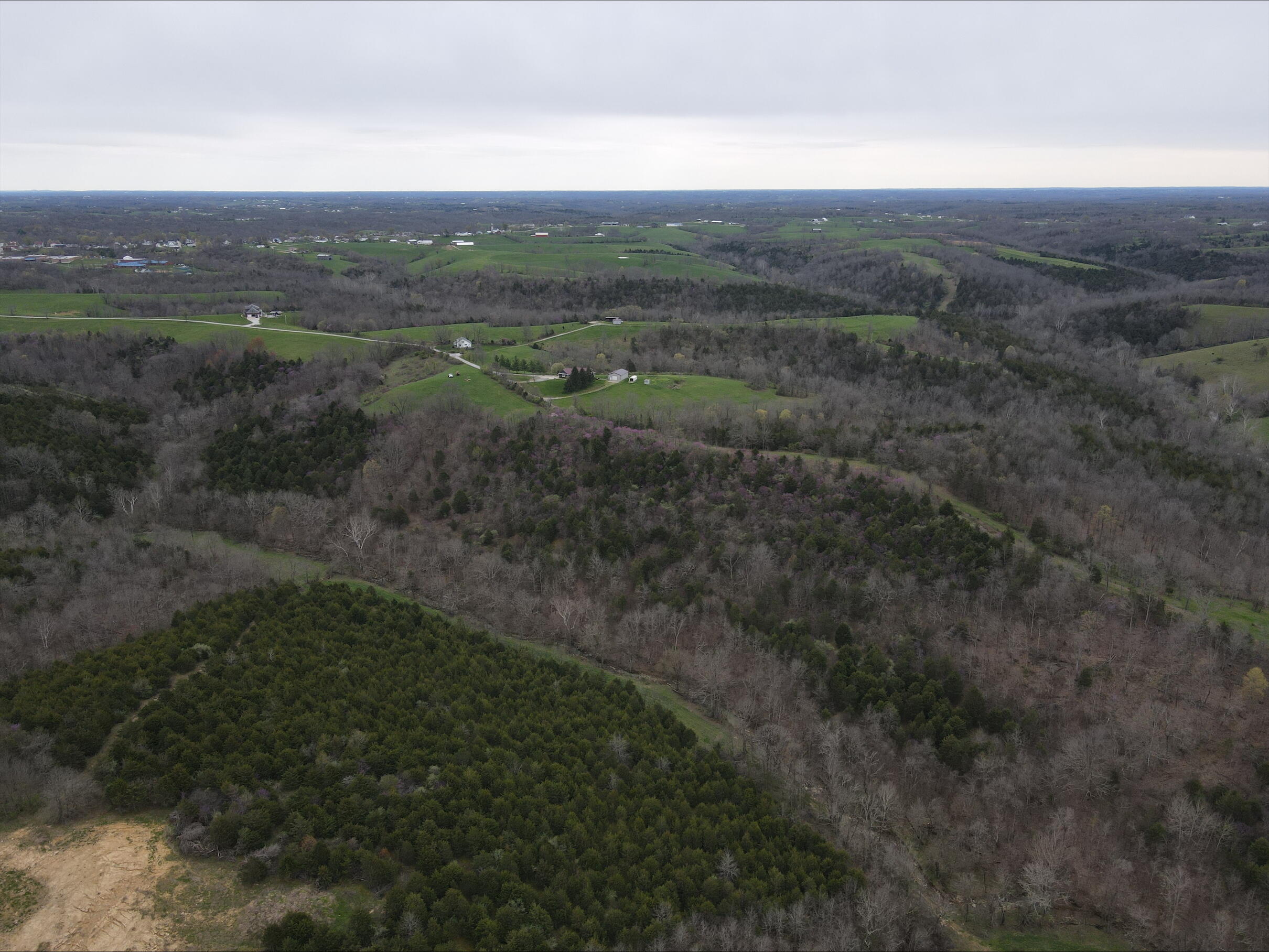 Property Photo: 138 Acres Cooper Lane KY 41004