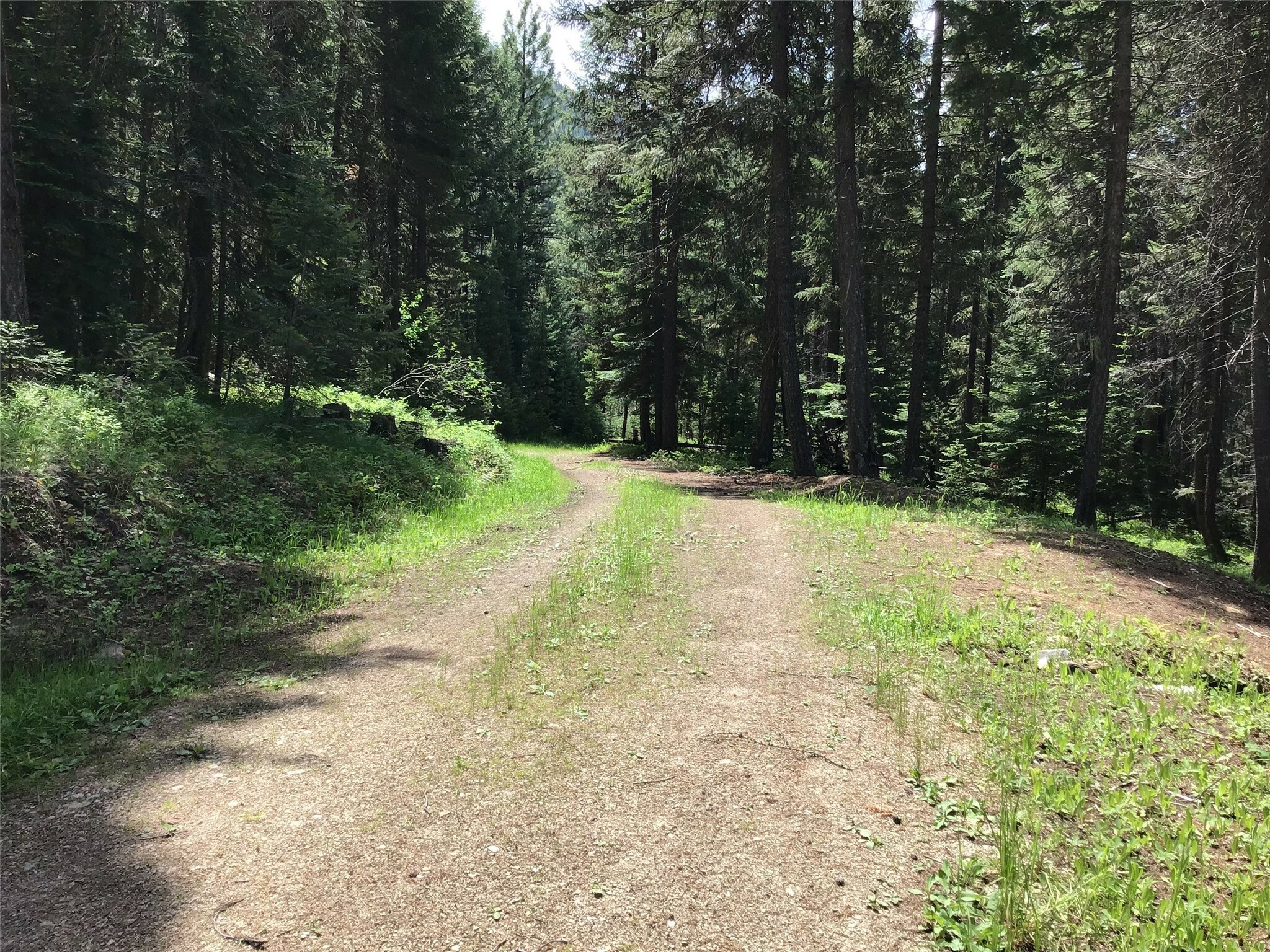 Property Photo: 180 Rimfire Lane MT 59866
