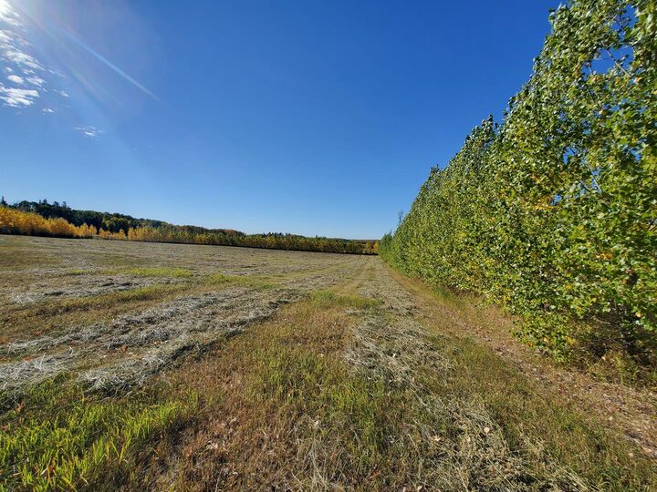 Property Photo: 68126 Campsite Road AB T0A 2T0