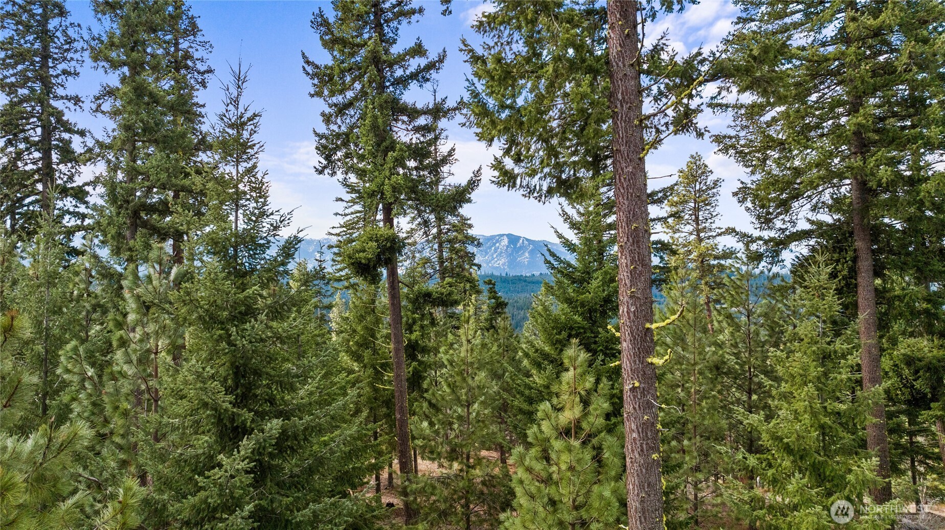 Property Photo:  7  Red Sky Way  WA 98922 