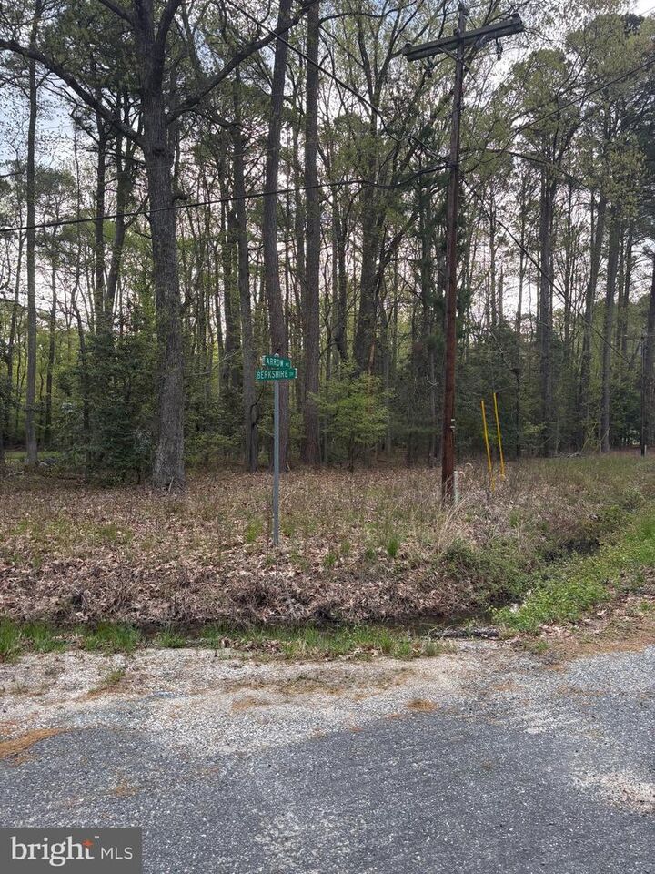 Property Photo:  Berkshire Dr  VA 22539 