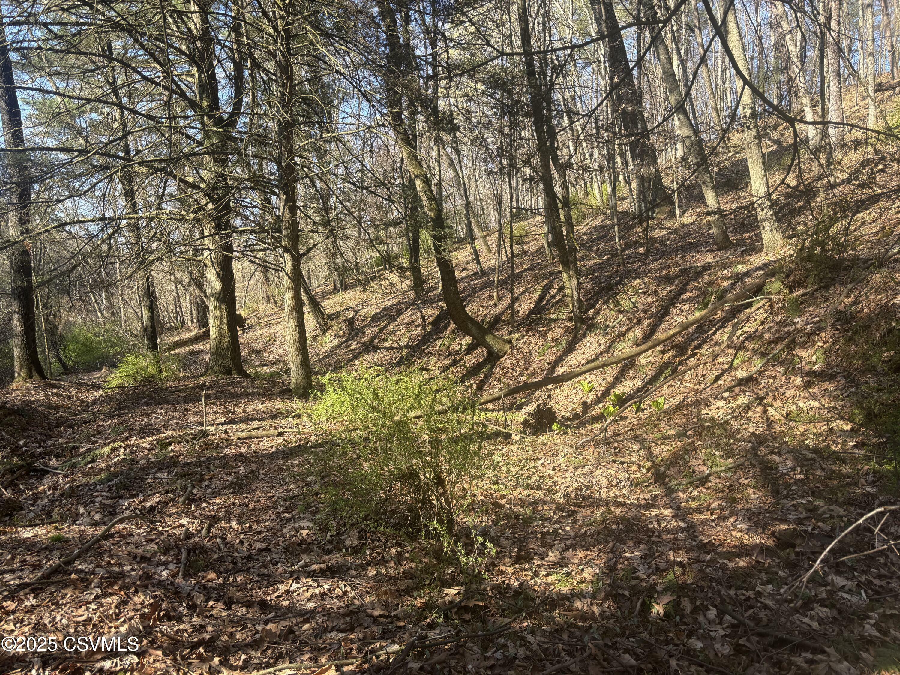 Property Photo: Mellick Hollow Road PA 17815