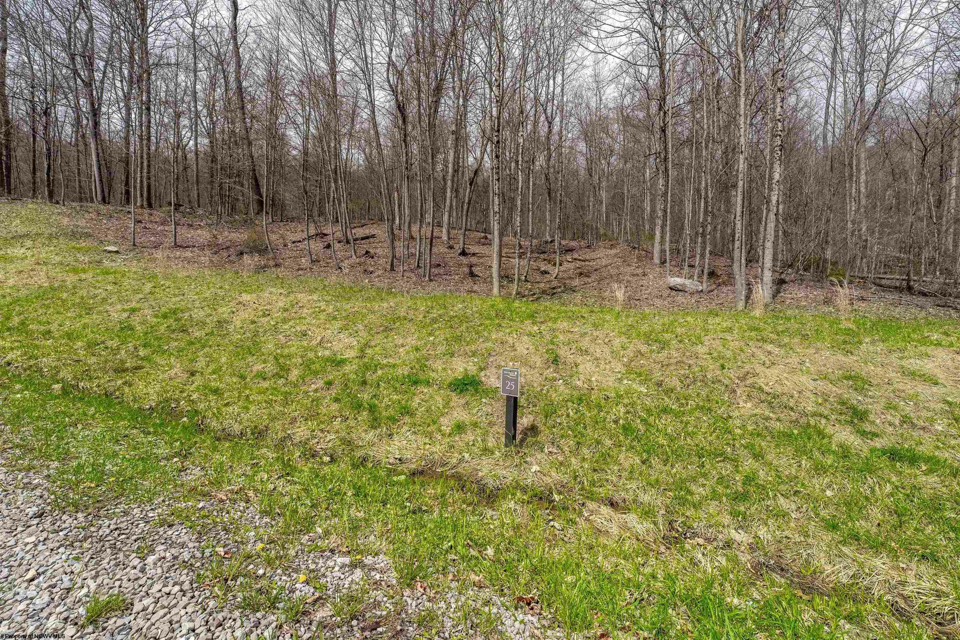 Property Photo: Lot 25 Watersound Trace WV 26525