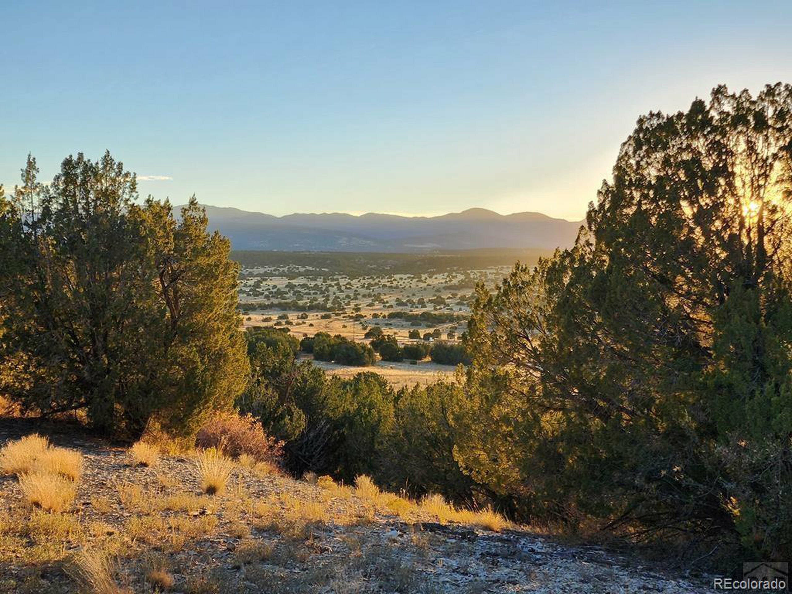Property Photo: Newton Rd CO 81005