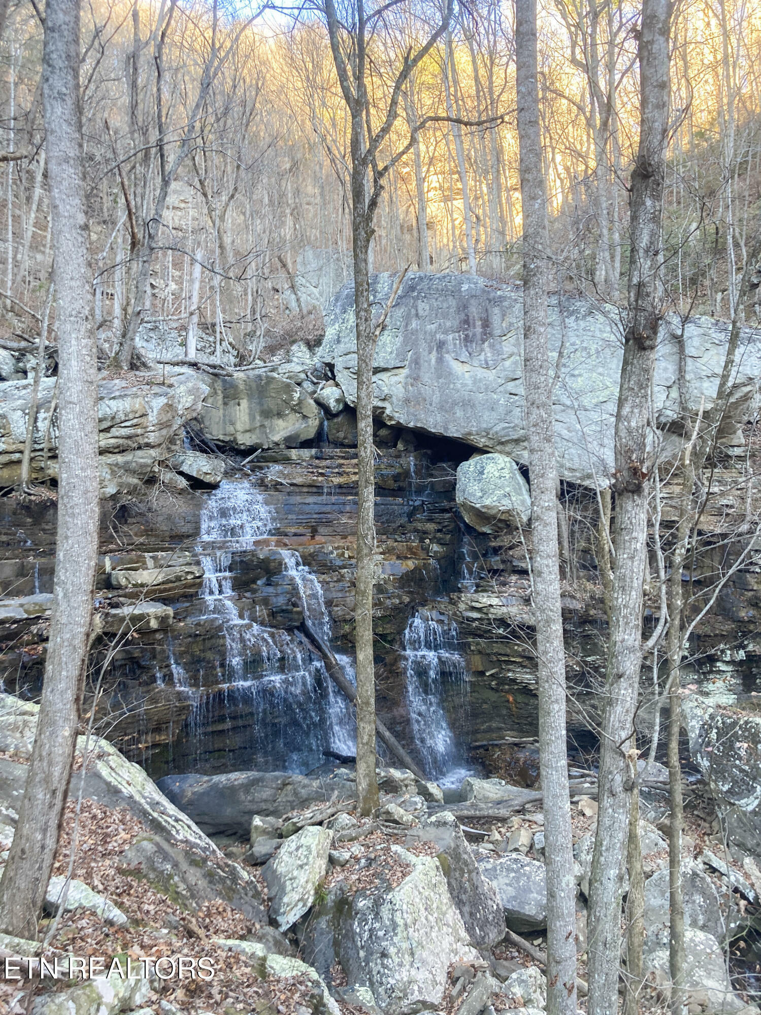 Property Photo:  Old Spencer Rd. - 198 Acres  TN 37367 