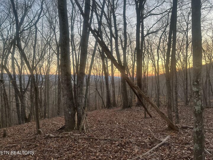 Property Photo:  Old Spencer Rd. - 172 Acres  TN 37367 