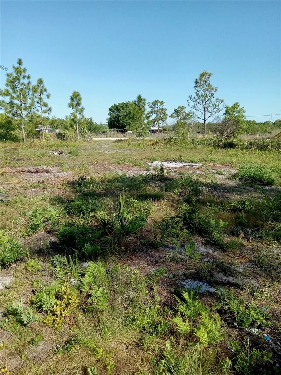 Krazy Court  St Cloud FL 34773 photo