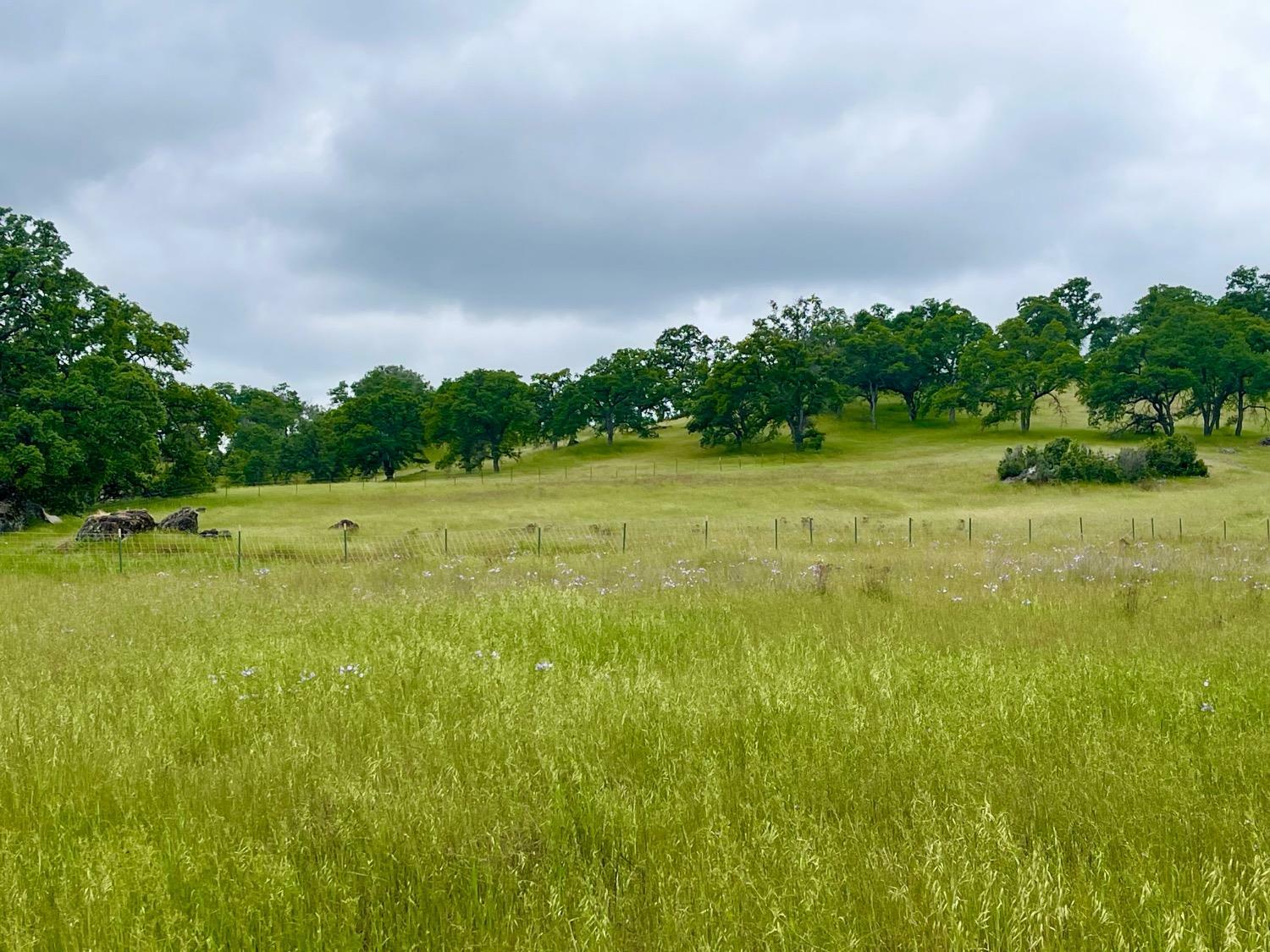 3190 State Highway 132  La Grange CA 95329 photo