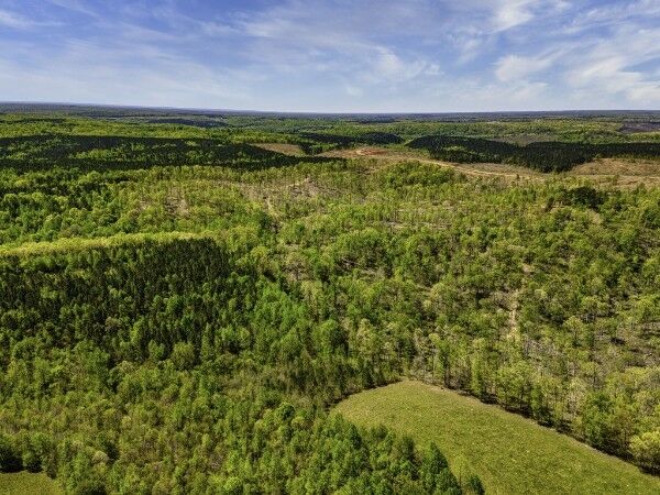 Property Photo: 0 Cedar Grove Rd TN 38463