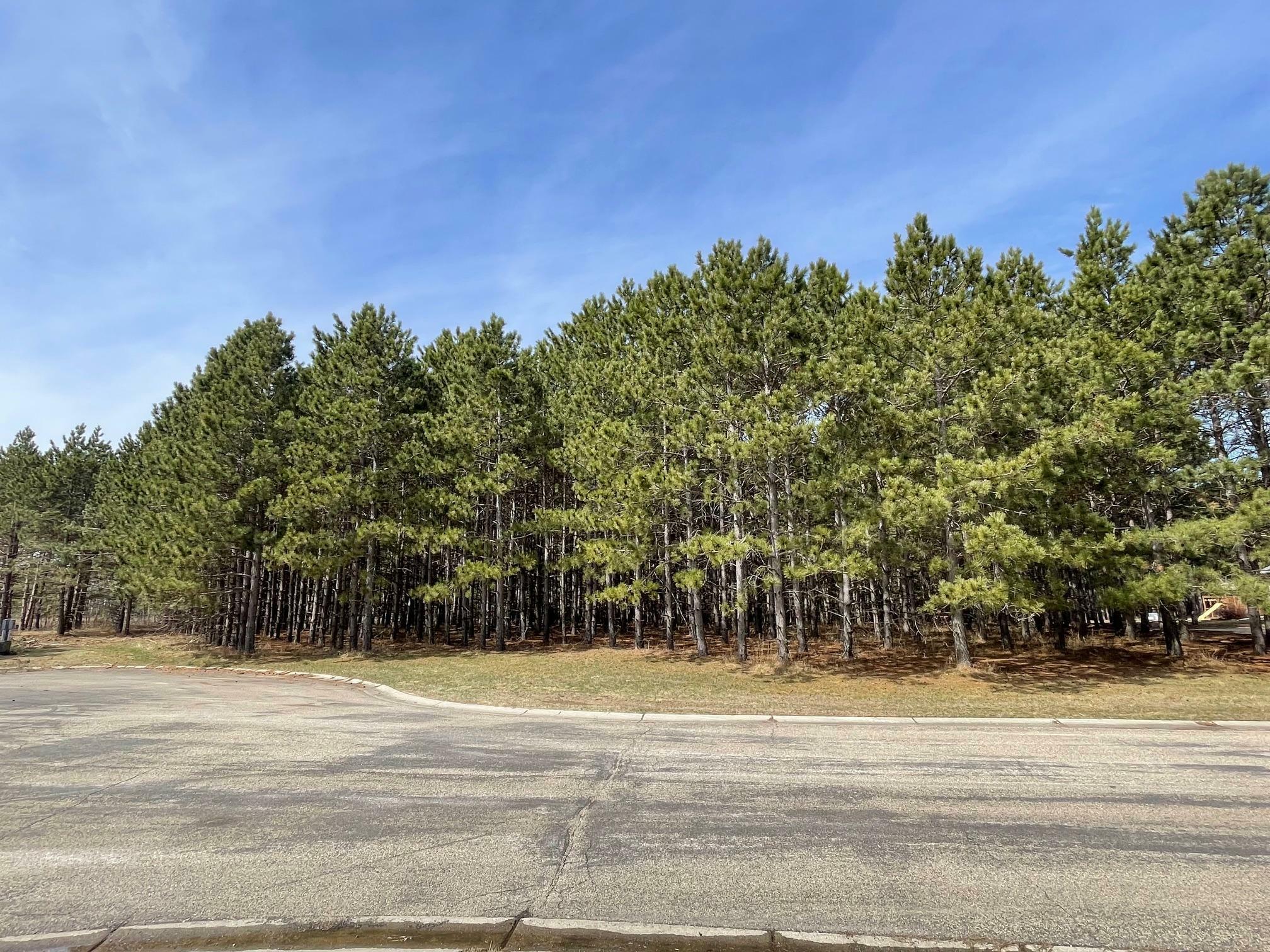 Property Photo: Xxxx Emerald Court NE MN 56319