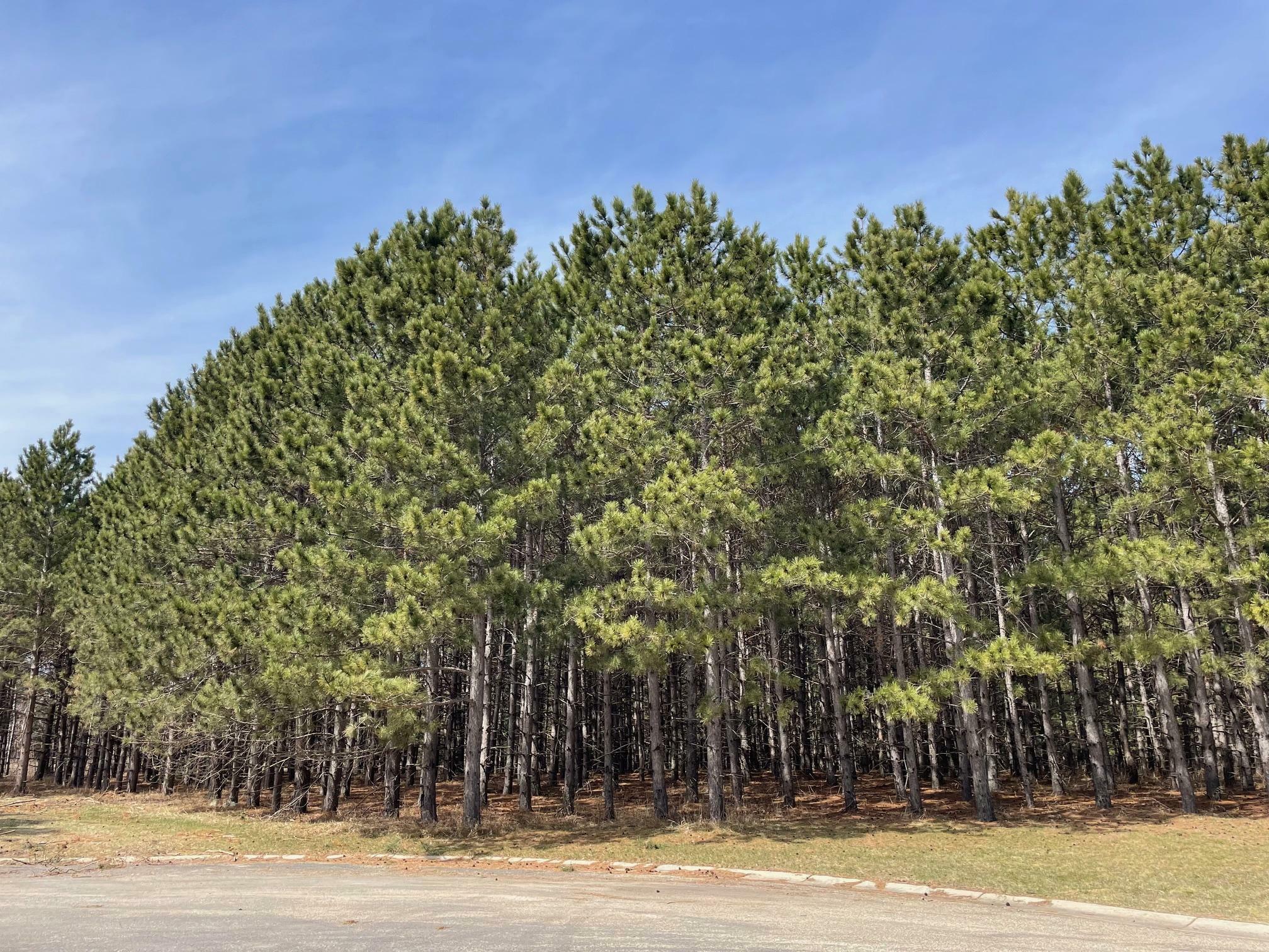 Property Photo:  Xxxx Emerald Court NE  MN 56319 