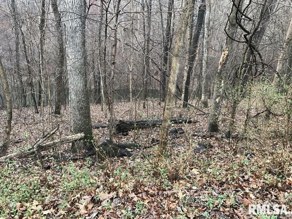 Property Photo: 00 Deer Ridge Road IL 62939
