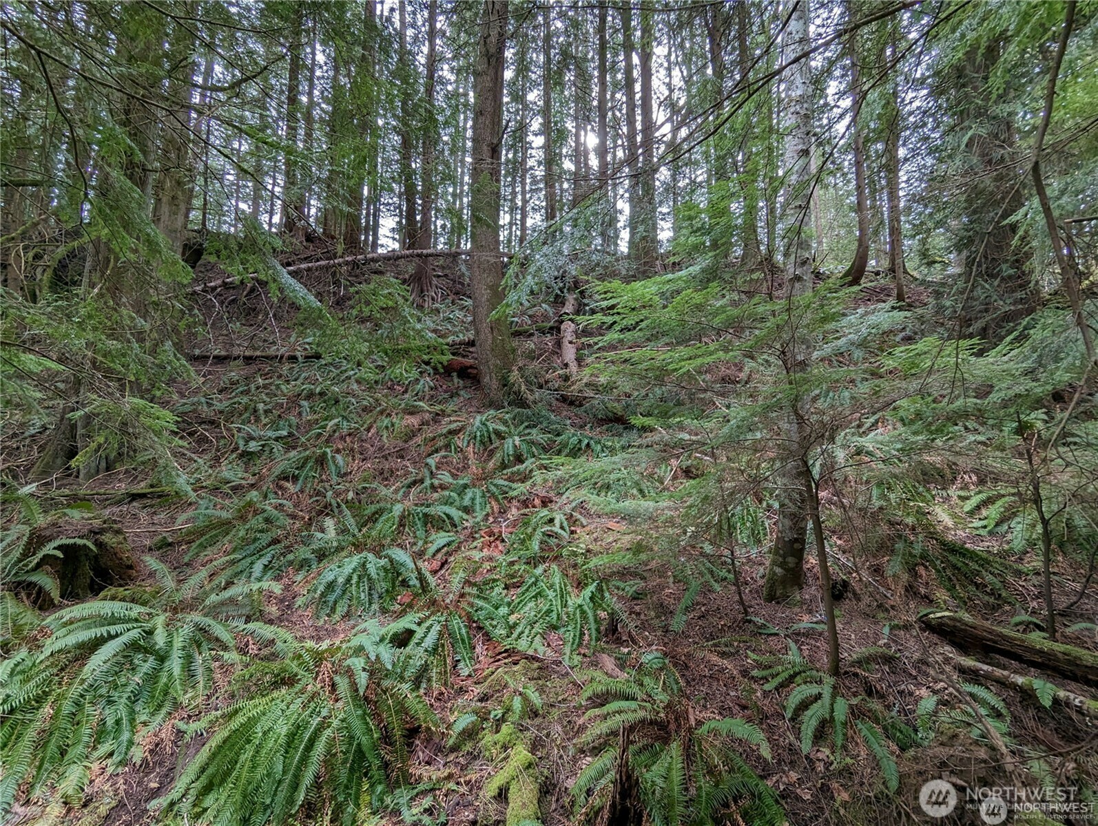 Property Photo: 14 Black Bear Court A WA 98229