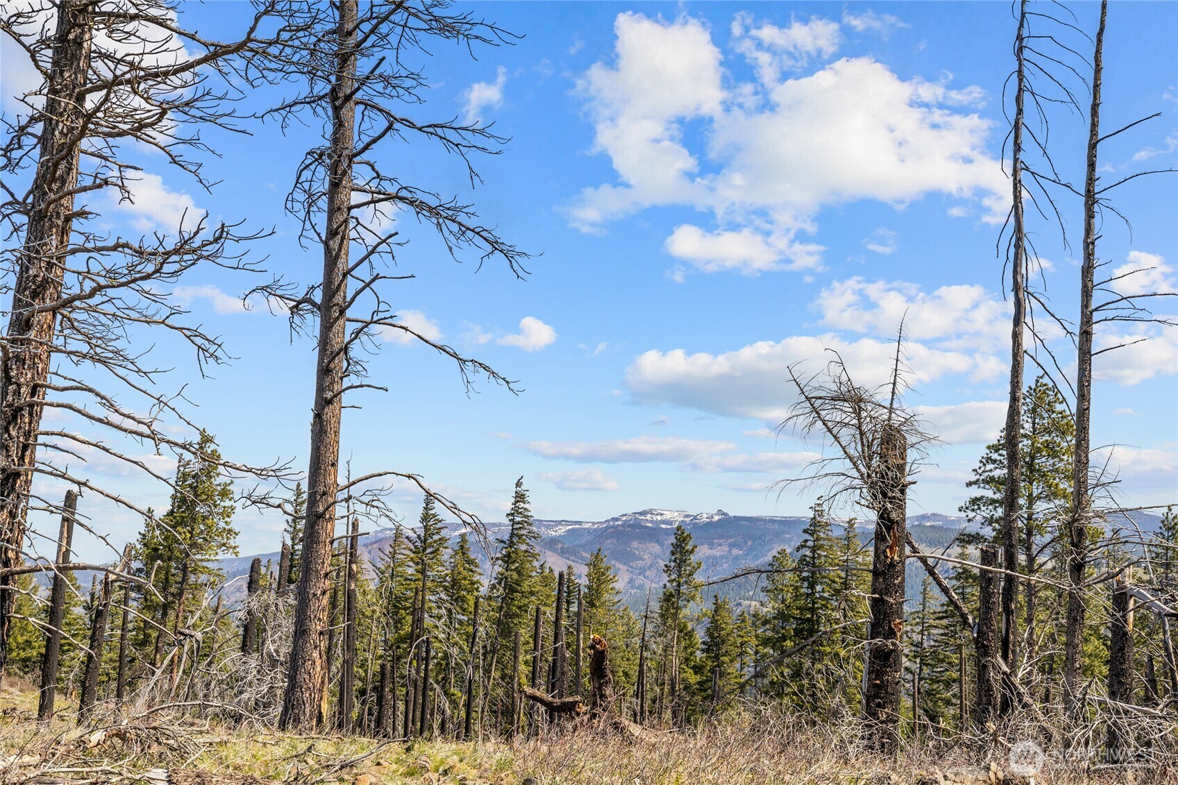 Property Photo:  1420  Emerick Road  WA 98922 