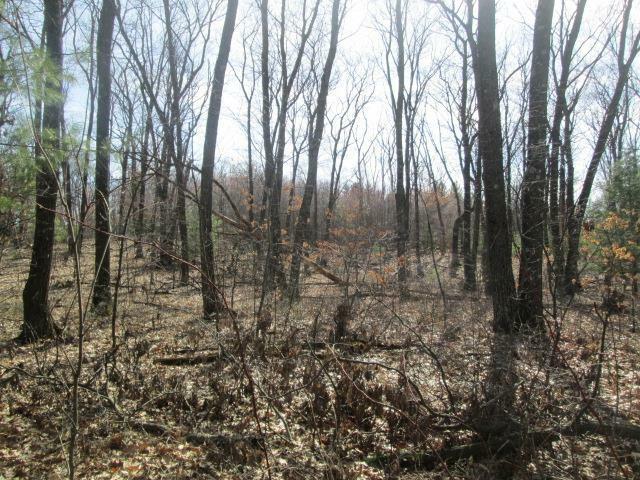 Property Photo: Lot 2 Cypress Avenue WI 54930