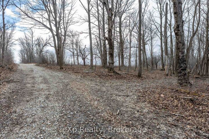 Property Photo: Ptlt 29 Con 1S, St. Vincent-Sydenham Townline N/A ON N0H 1B0