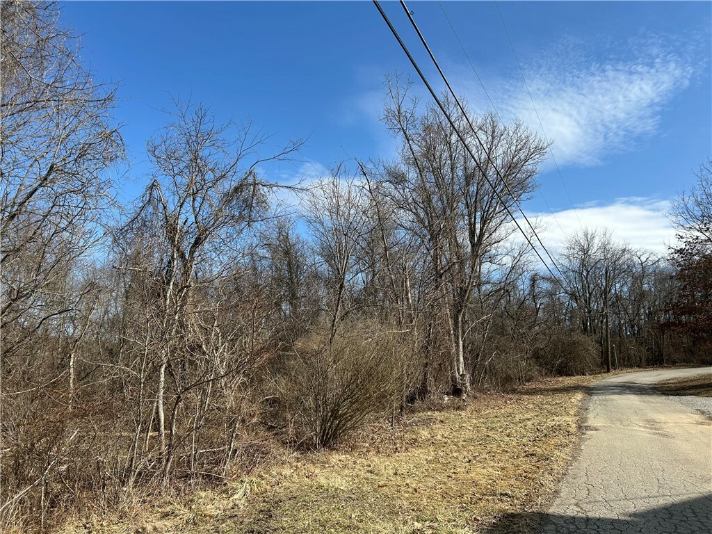 Property Photo: 0 2nd Street PA 15420