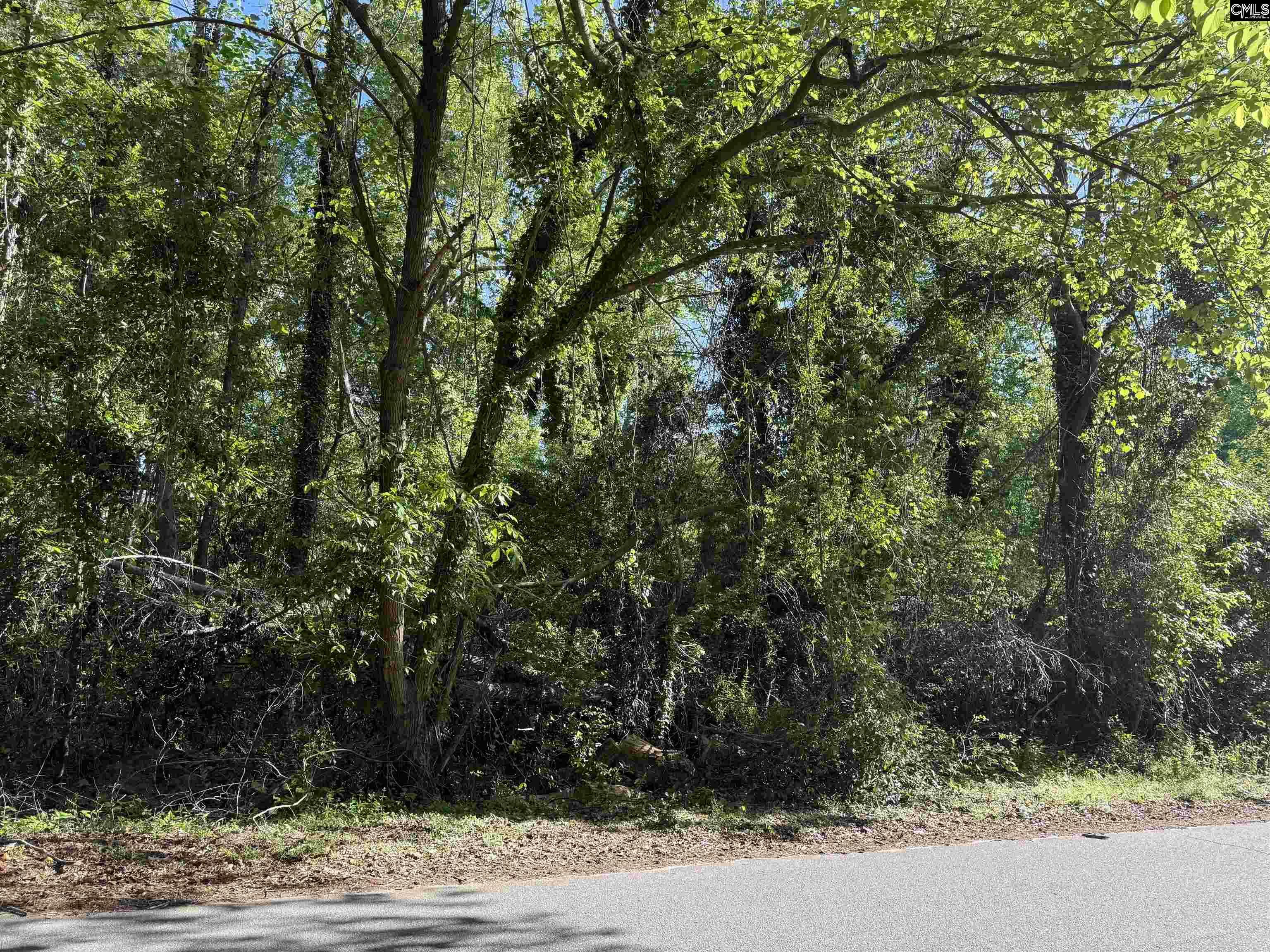 Property Photo:  0 Solomon  SC 29006 