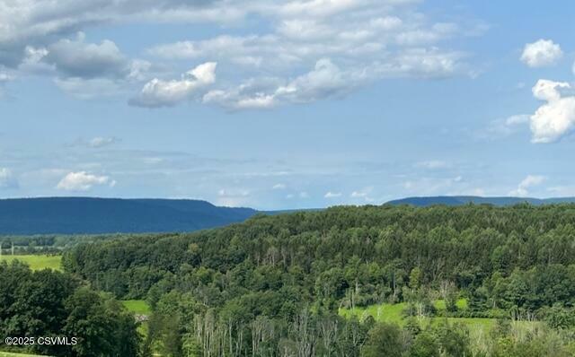 Property Photo: Smith Hill Road PA 17814