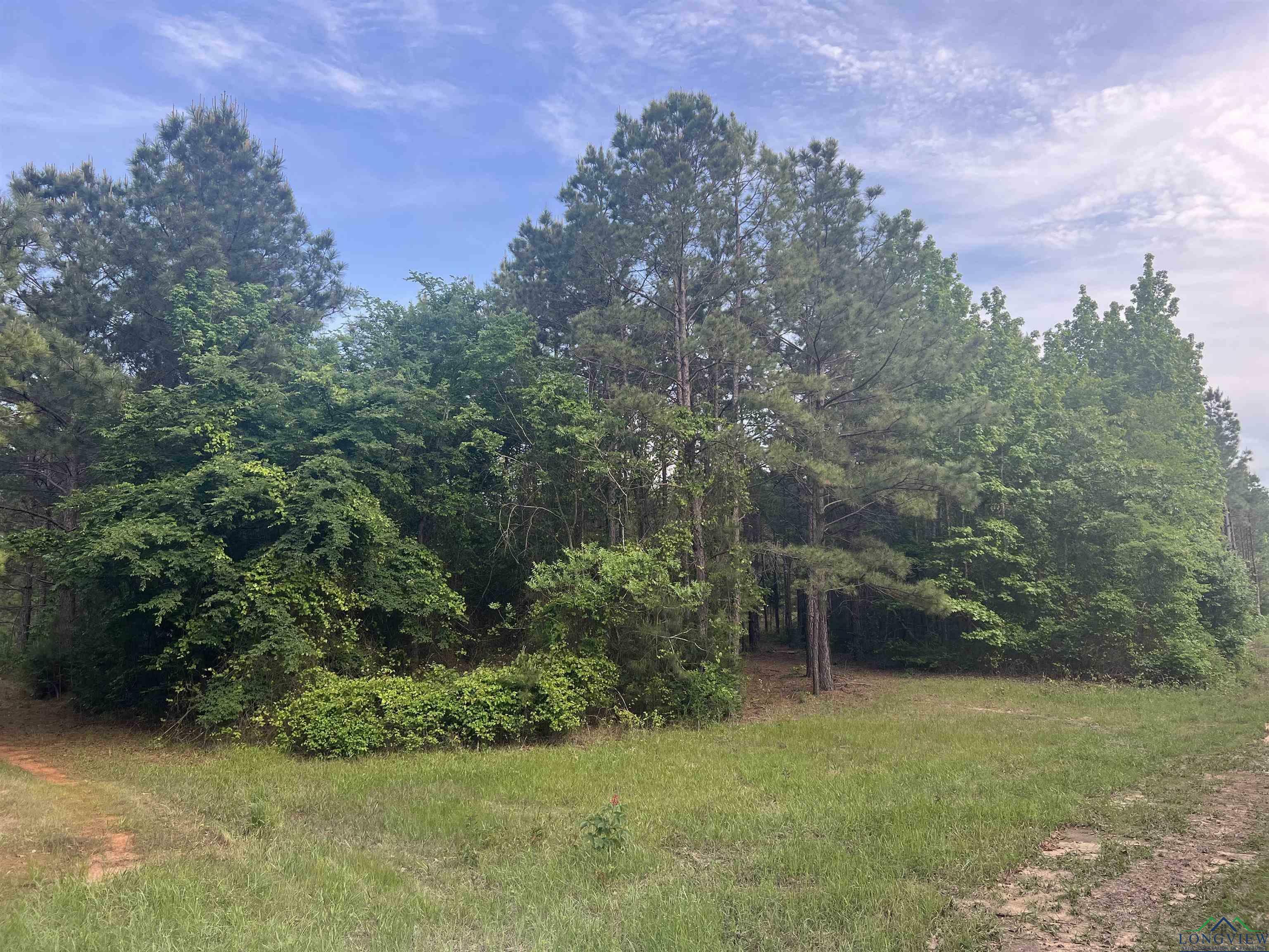 Property Photo: Cr 477 Tract 3 TX 75654