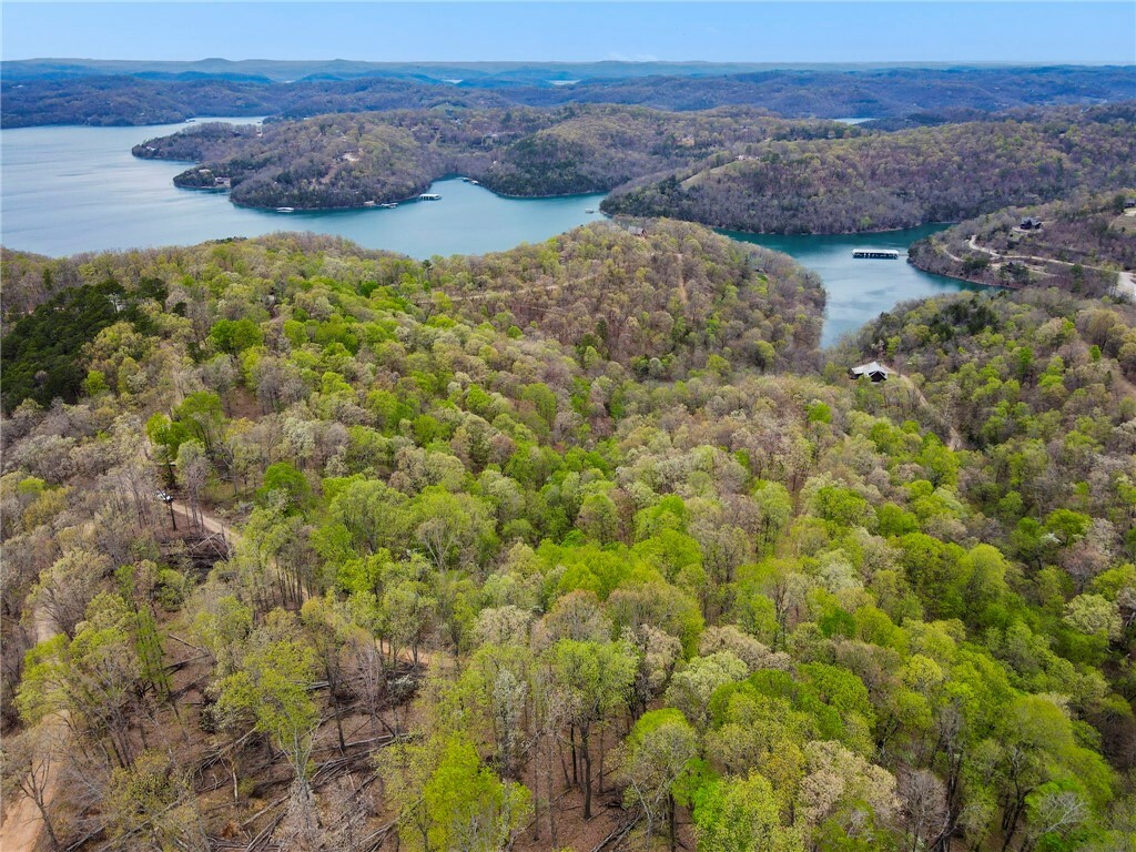 Property Photo:  Lots 6,16,17 Cr 1562  AR 72632 