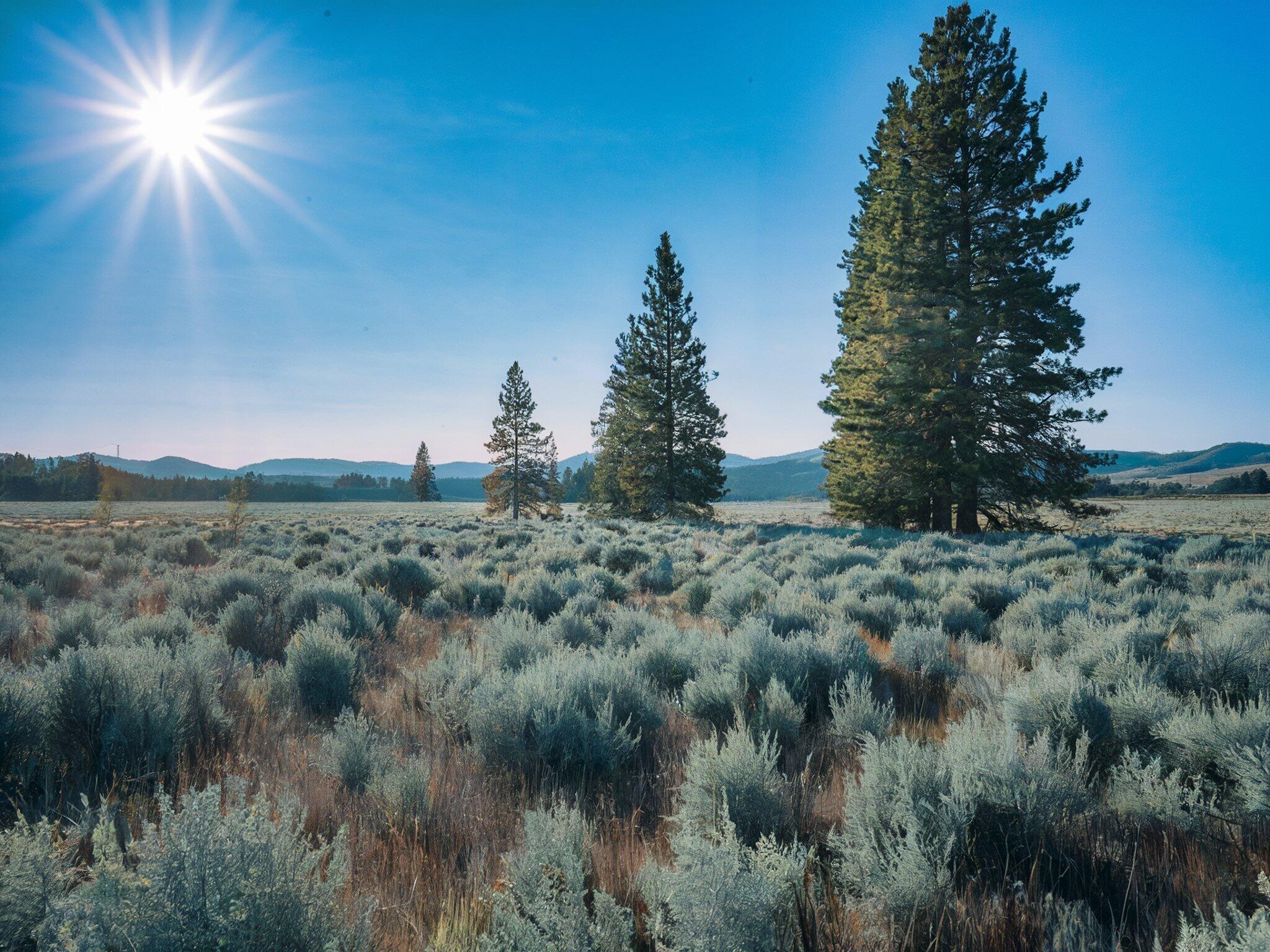 Property Photo: Fishhole Creek Road OR 97622