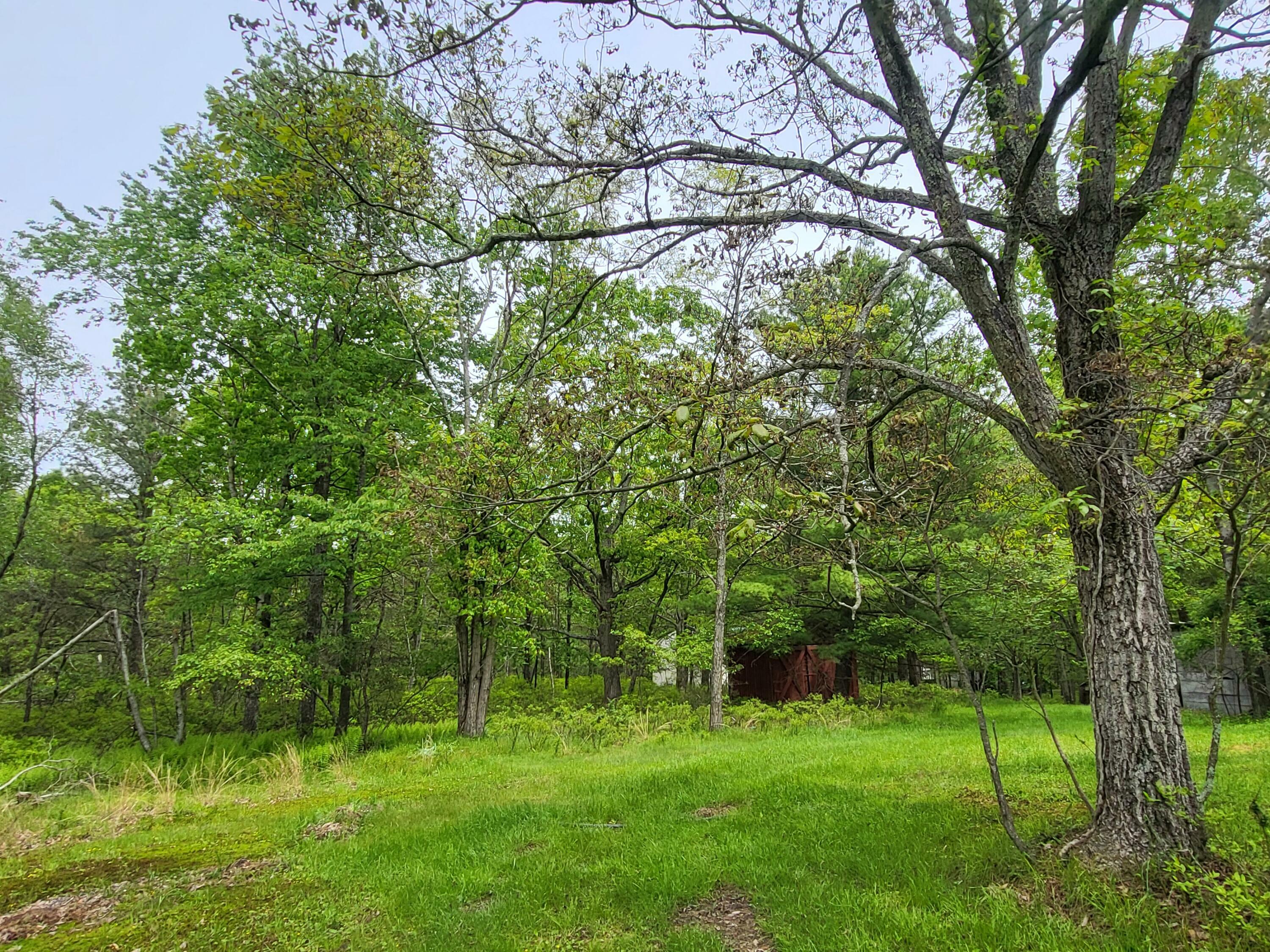 Property Photo: 216 Buckhorn Lane PA 18326