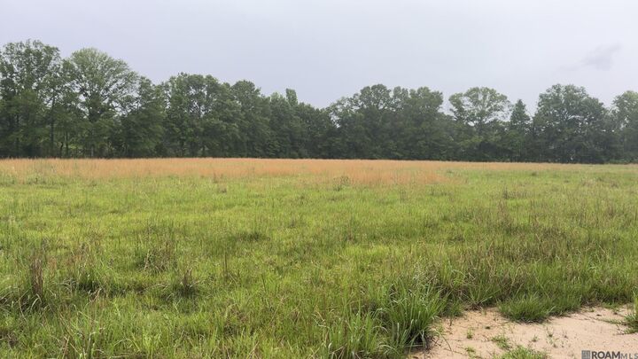 Property Photo:  20182 La Hwy 10  LA 70444 