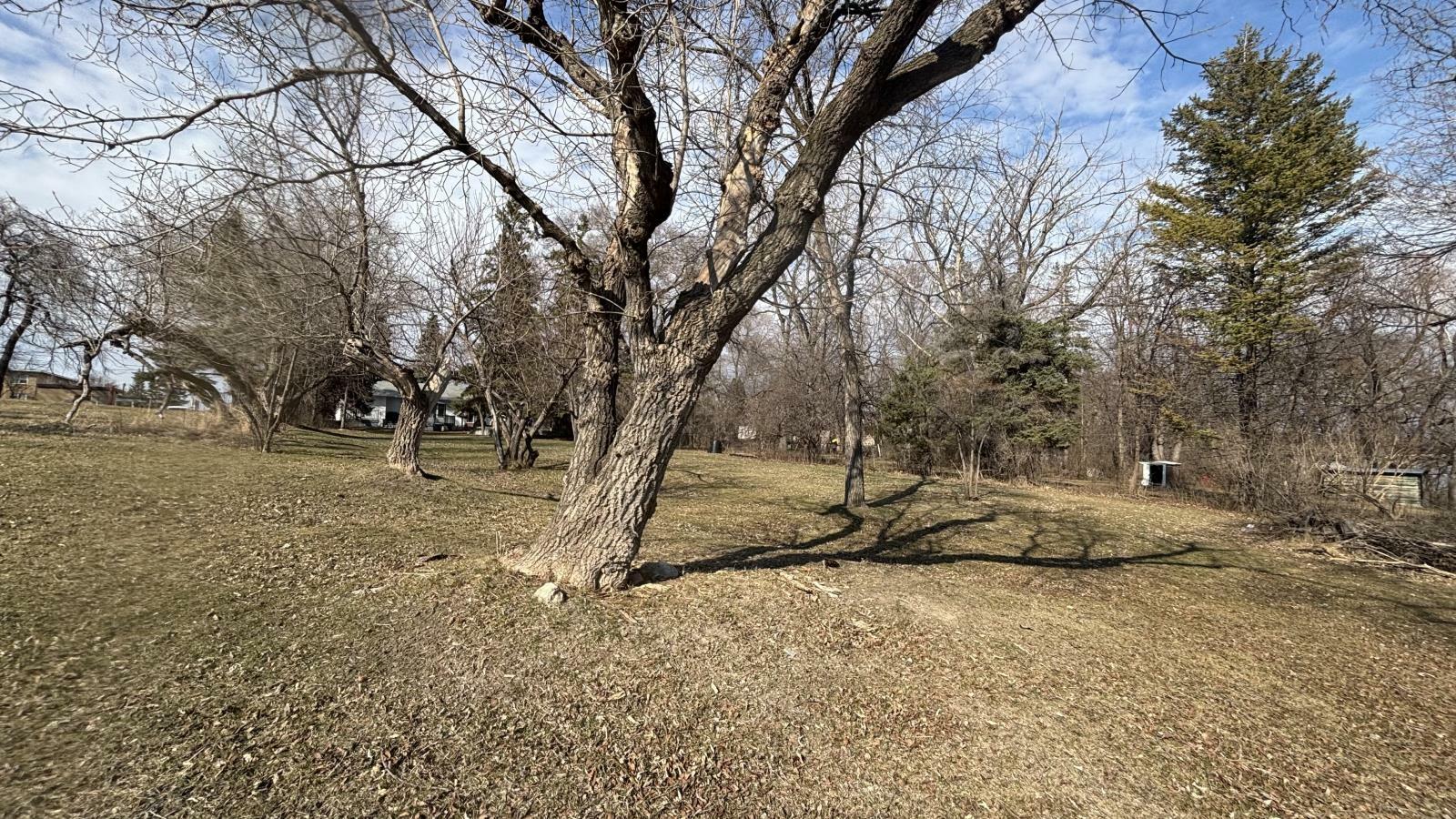 2194 Portage Avenue  Winnipeg MB R3J 0M2 photo