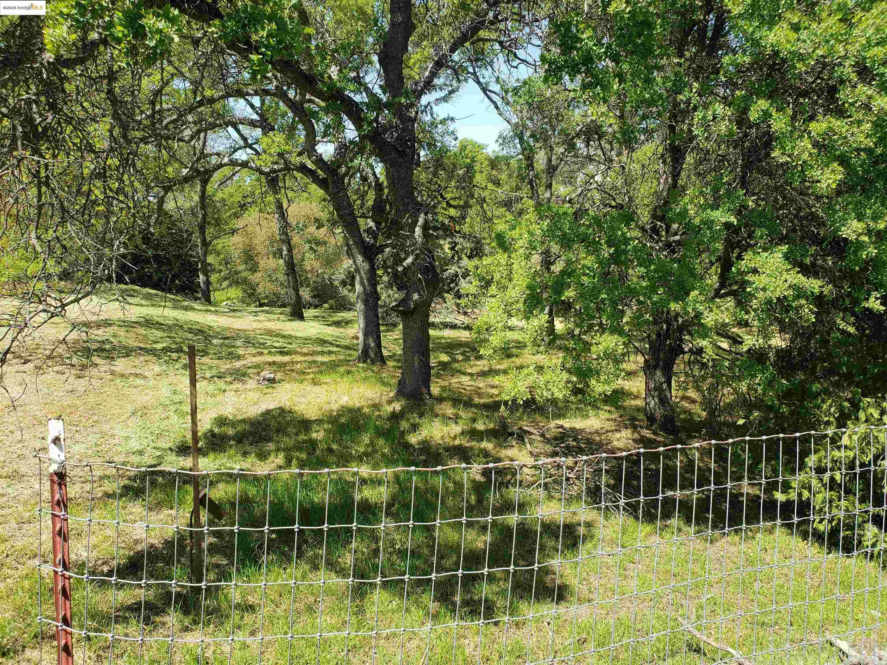 Property Photo: 4768 Arbolada CA 95329