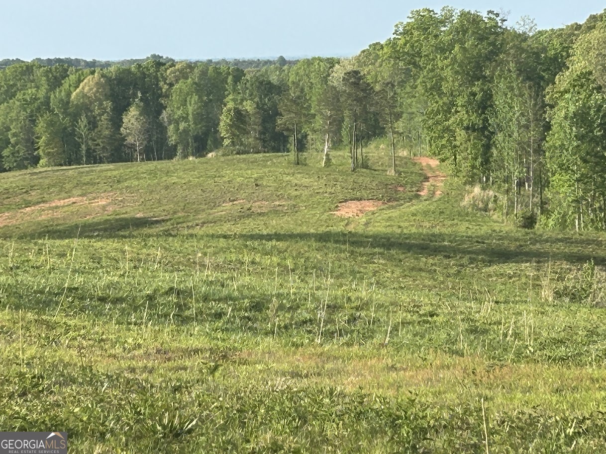 Property Photo: 0 Needmore Road - (345.37 Acres) GA 30170