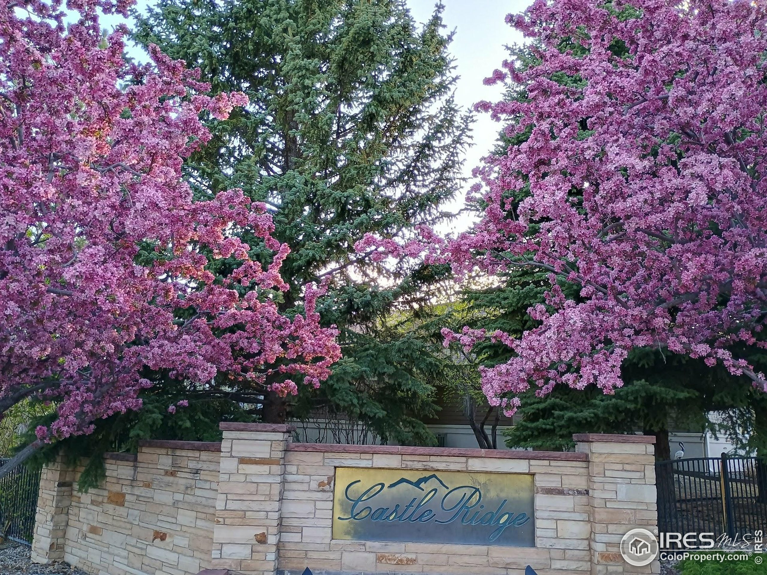 Property Photo:  5200 Castle Ridge Pl  CO 80525 