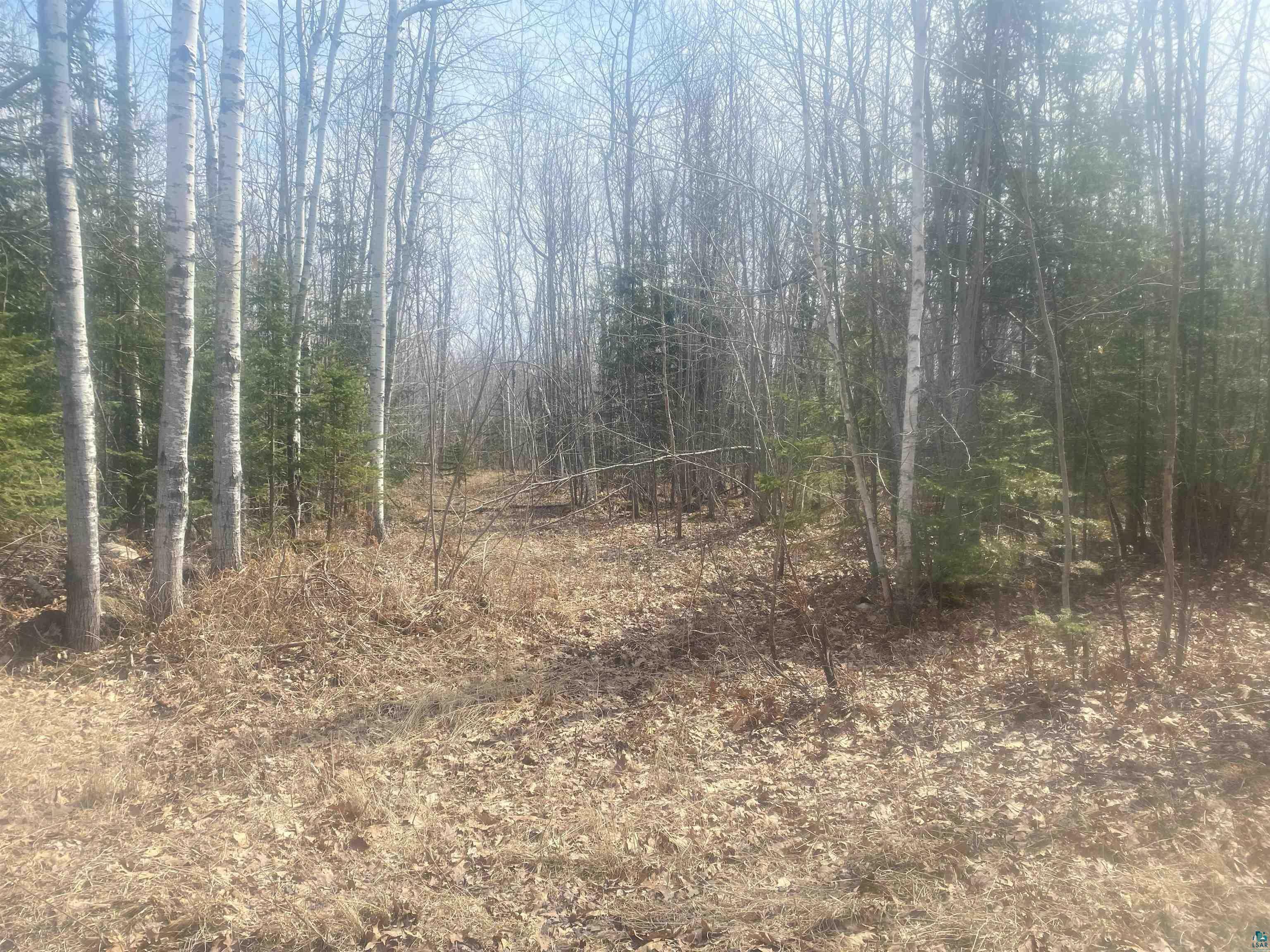 Property Photo: Tbd E Old Hwy 13 WI 54844