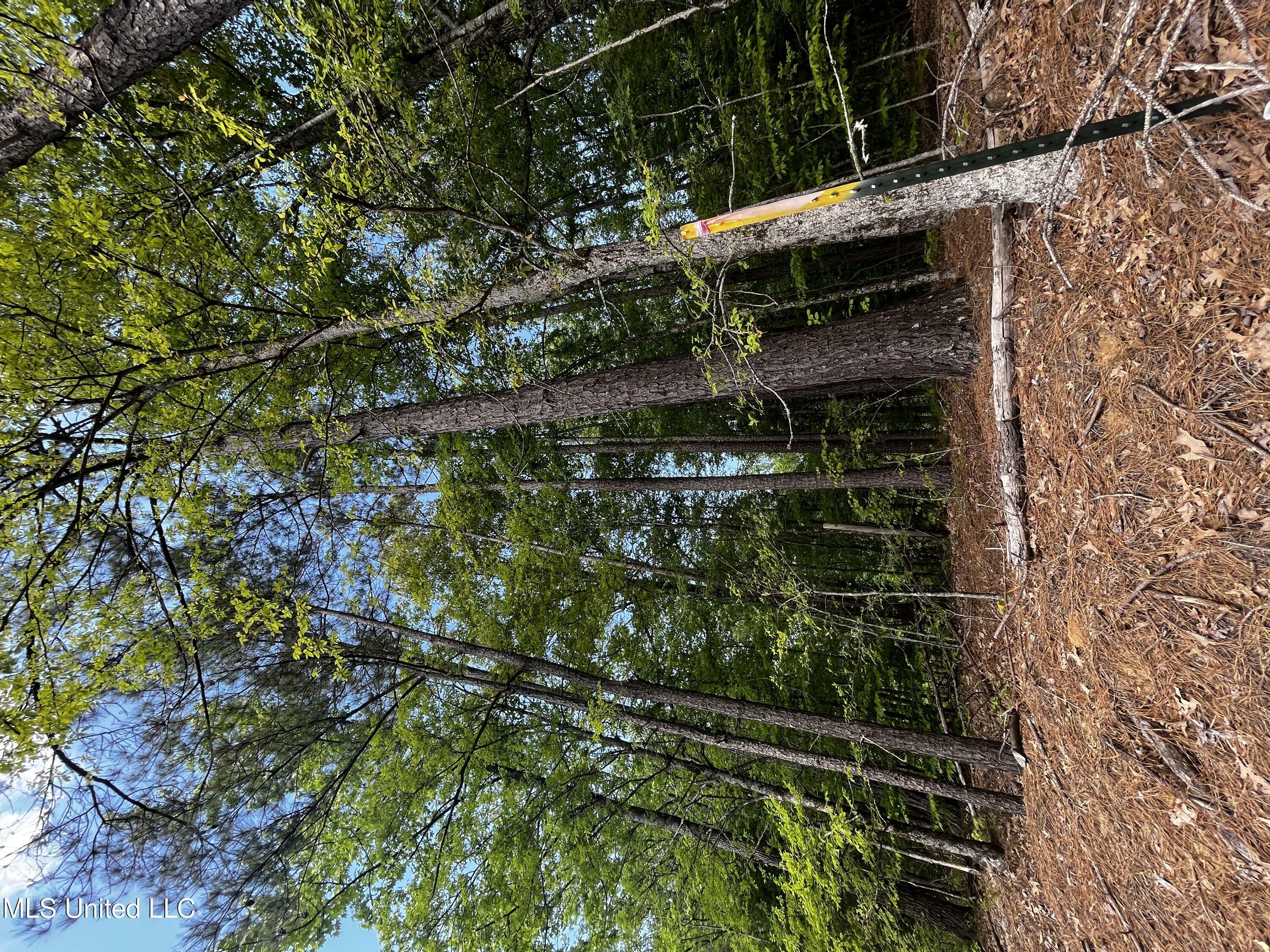 Property Photo: 0 Bend Road MS 38618