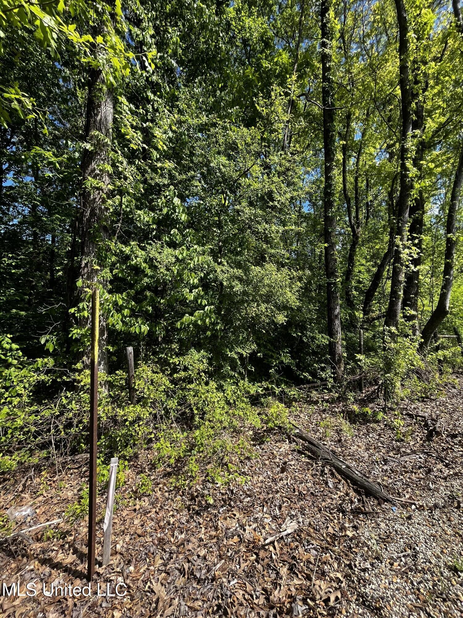 Property Photo:  0 Bend Road  MS 38618 