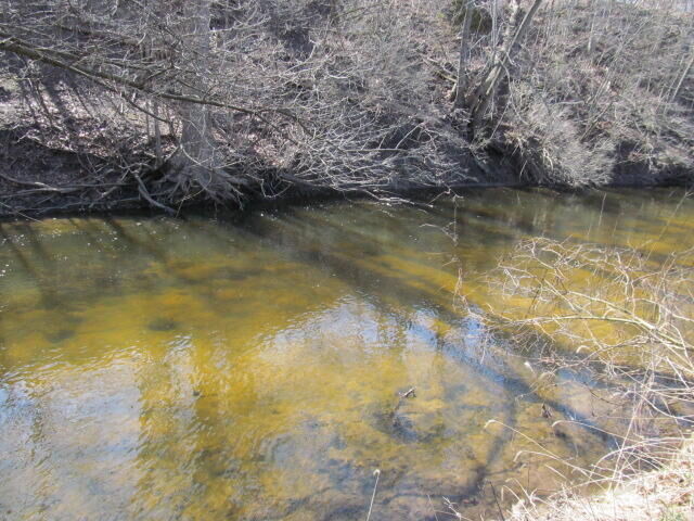 Property Photo: 12269 Crockery Creek Drive MI 49451