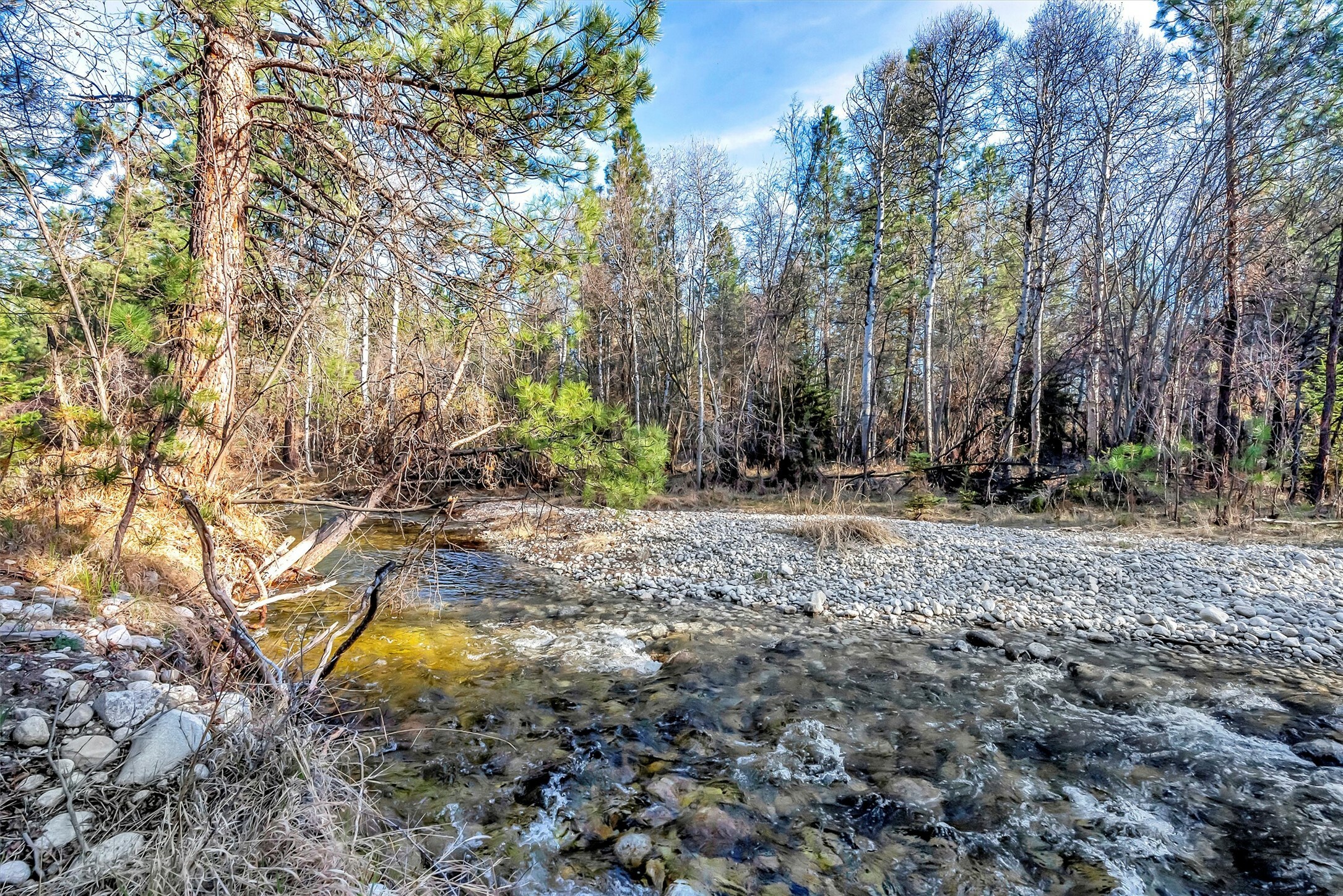 Property Photo: 2120 Middle Bear Creek Road MT 59875