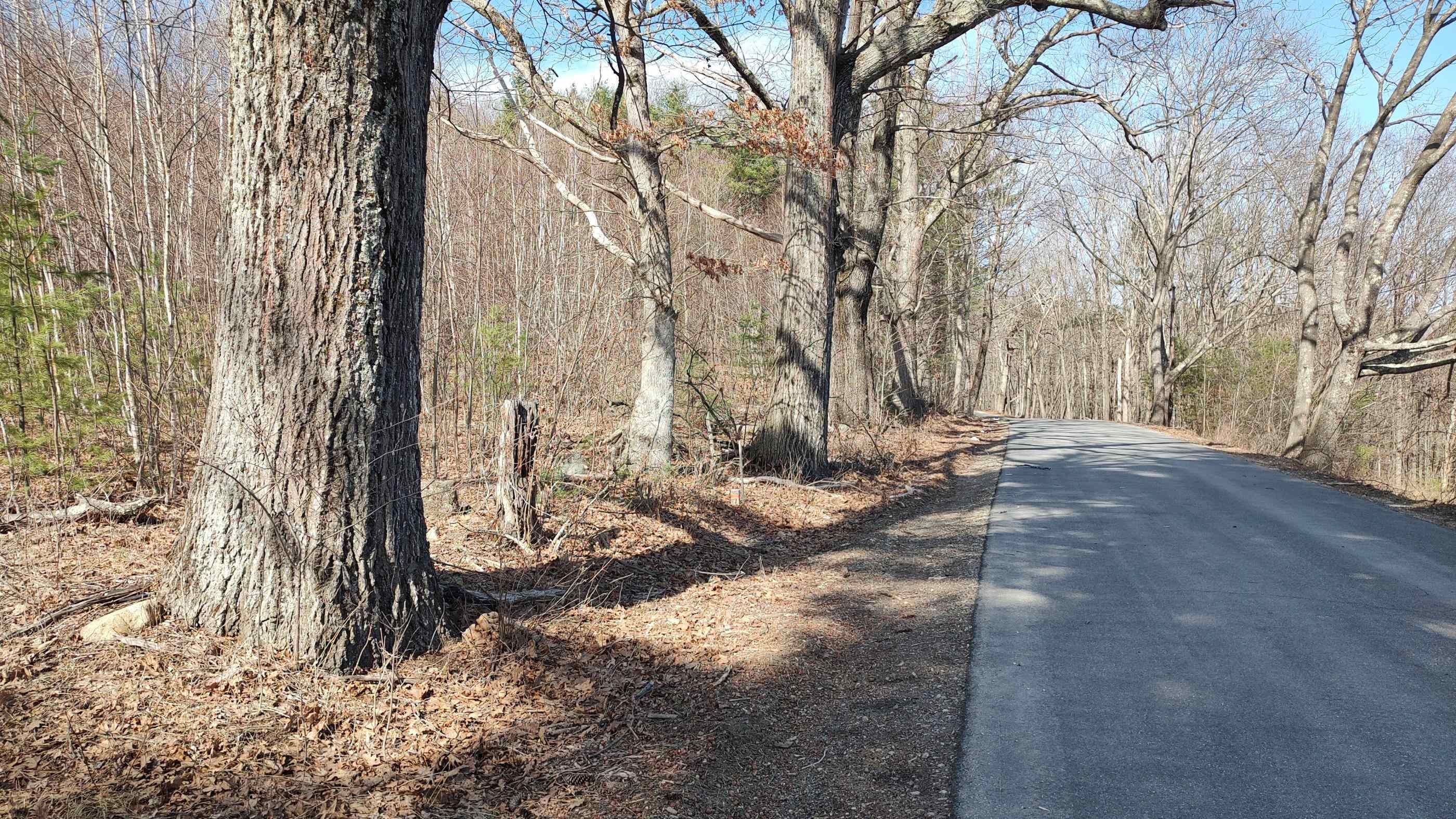 Property Photo: Lot 1-50-1 Colburn Road NH 03070
