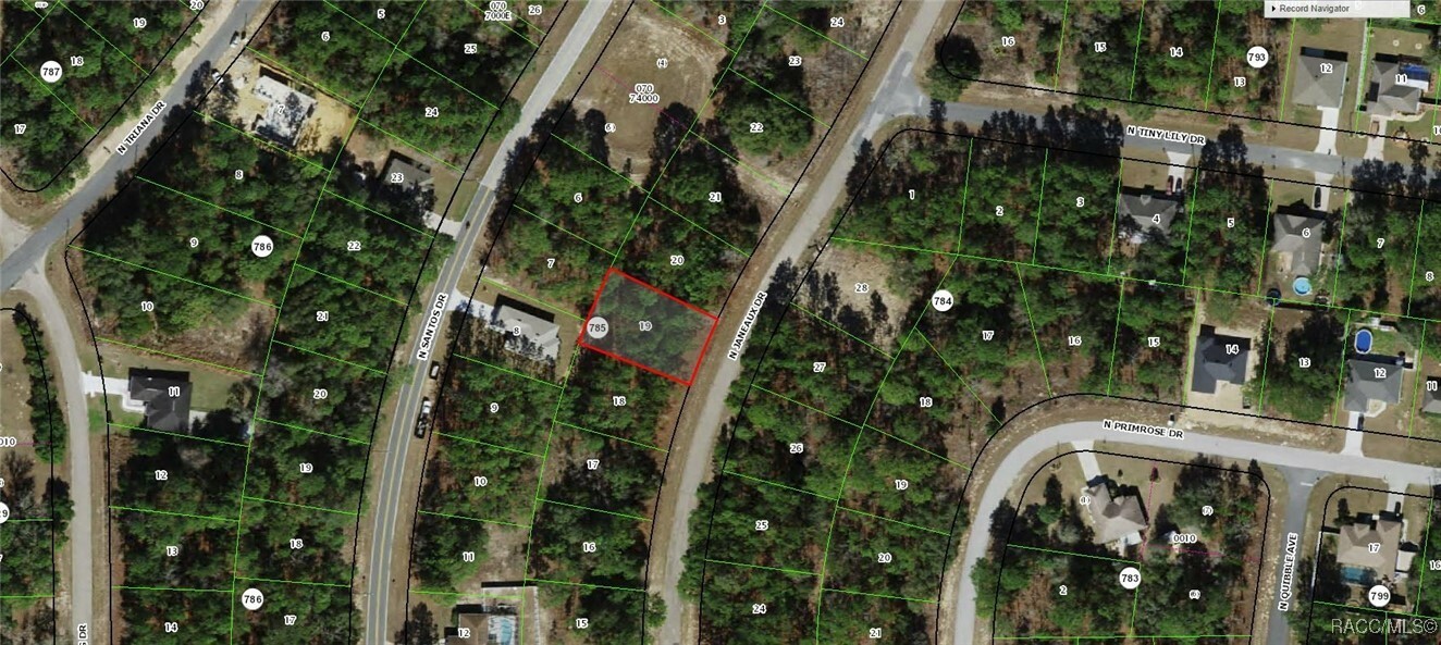 7942 N Janeaux Drive  Citrus Springs FL 34434 photo